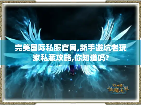 完美国际私服官网,新手避坑老玩家私藏攻略,你知道吗?