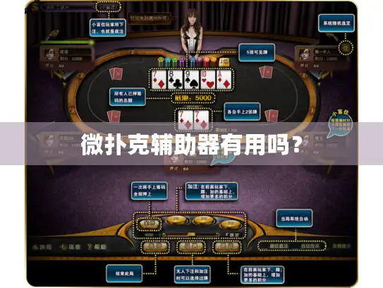 微扑克辅助器有用吗? 微扑克辅助器有用吗?