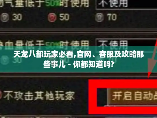 天龙八部玩家必看,官网、客服及攻略那些事儿 - 你都知道吗?