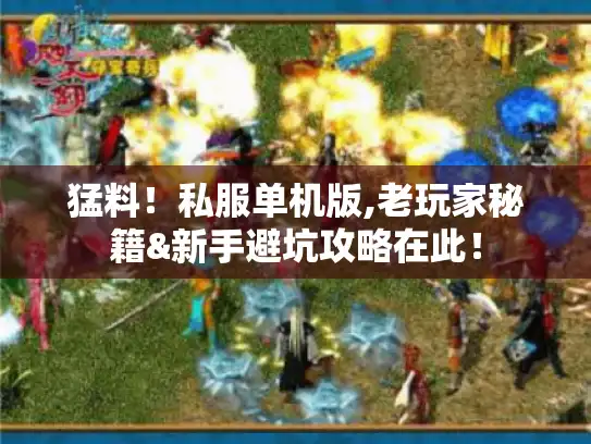 猛料！私服单机版,老玩家秘籍&新手避坑攻略在此！