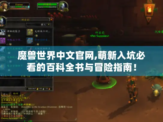 魔兽世界中文官网,萌新入坑必看的百科全书与冒险指南！