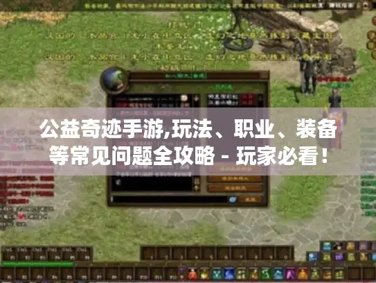 公益奇迹手游,玩法、职业、装备等常见问题全攻略 - 玩家必看！