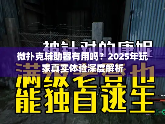 微扑克辅助器有用吗?2025年玩家真实体验深度解析 微扑克辅助器有用吗?2025年玩家真实体验深度解析