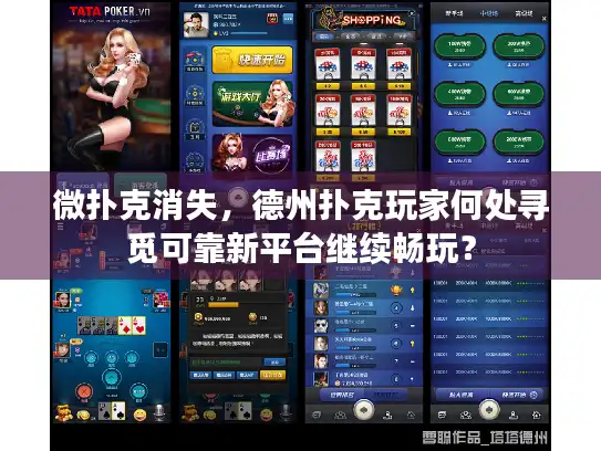 微扑克消失，德州扑克玩家何处寻觅可靠新平台继续畅玩？