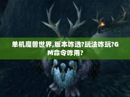 单机魔兽世界,版本咋选?玩法咋玩?GM命令咋用?