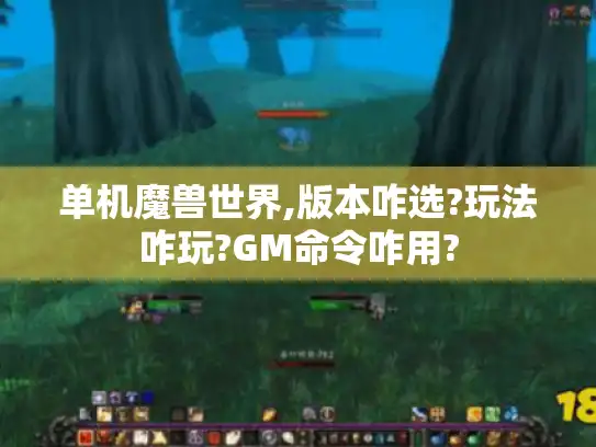 单机魔兽世界,版本咋选?玩法咋玩?GM命令咋用?