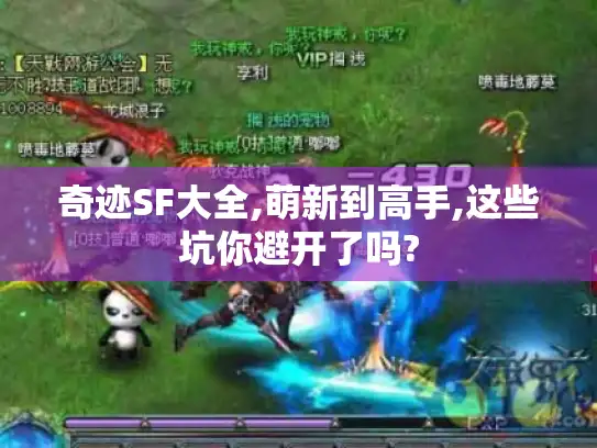 奇迹SF大全,萌新到高手,这些坑你避开了吗?