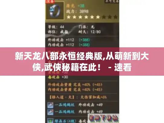 新天龙八部永恒经典版,从萌新到大侠,武侠秘籍在此！ - 速看