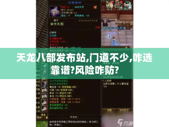 天龙八部发布站,门道不少,咋选靠谱?风险咋防?