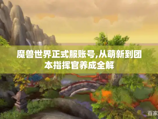 魔兽世界正式服账号,从萌新到团本指挥官养成全解