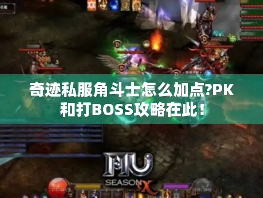 奇迹私服角斗士怎么加点?PK和打BOSS攻略在此! 奇迹私服角斗士怎么加点?PK和打BOSS攻略在此!