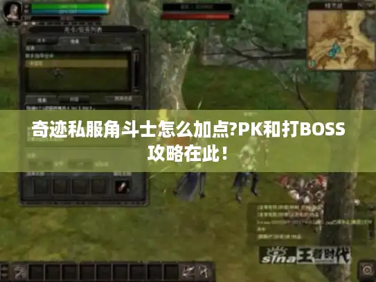 奇迹私服角斗士怎么加点?PK和打BOSS攻略在此! 奇迹私服角斗士怎么加点?PK和打BOSS攻略在此!