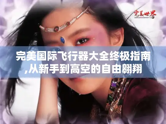 完美国际飞行器大全终极指南,从新手到高空的自由翱翔