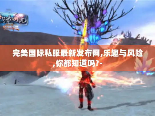 完美国际私服最新发布网,乐趣与风险,你都知道吗?-