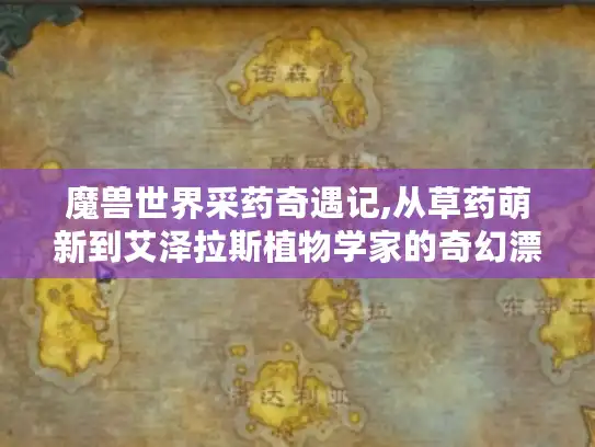 魔兽世界采药奇遇记,从草药萌新到艾泽拉斯植物学家的奇幻漂流