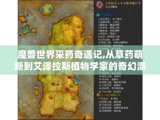 魔兽世界采药奇遇记,从草药萌新到艾泽拉斯植物学家的奇幻漂流