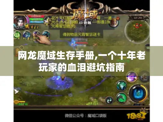 网龙魔域生存手册,一个十年老玩家的血泪避坑指南