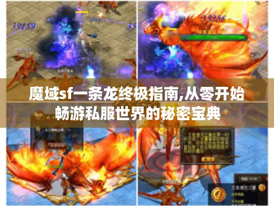 魔域sf一条龙终极指南,从零开始畅游私服世界的秘密宝典