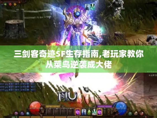 三剑客奇迹SF生存指南,老玩家教你从菜鸟逆袭成大佬