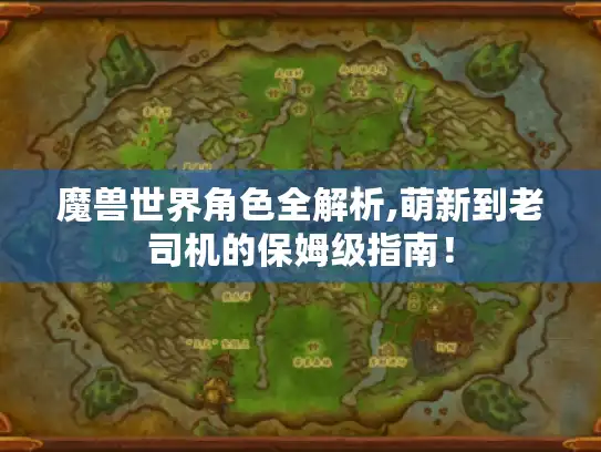 魔兽世界角色全解析,萌新到老司机的保姆级指南！