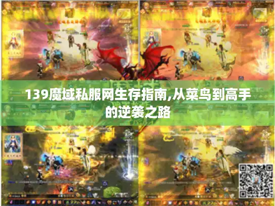 139魔域私服网生存指南,从菜鸟到高手的逆袭之路