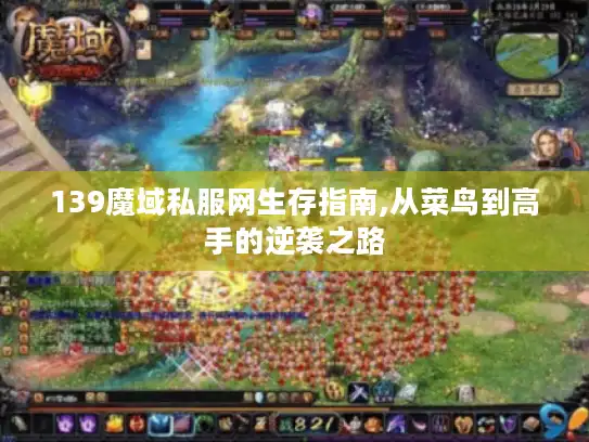 139魔域私服网生存指南,从菜鸟到高手的逆袭之路
