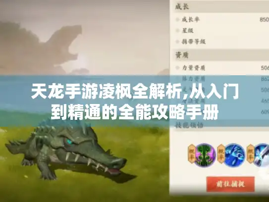 天龙手游凌枫全解析,从入门到精通的全能攻略手册