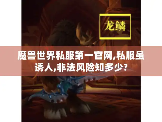 魔兽世界私服第一官网,私服虽诱人,非法风险知多少?