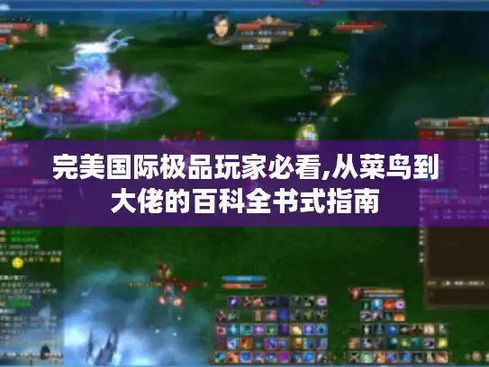 完美国际极品玩家必看,从菜鸟到大佬的百科全书式指南 完美国际极品玩家必看,从菜鸟到大佬的百科全书式指南