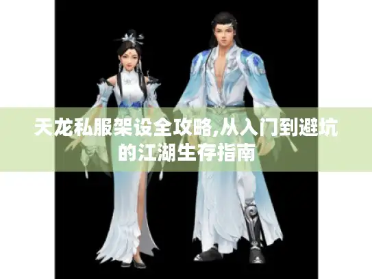 天龙私服架设全攻略,从入门到避坑的江湖生存指南