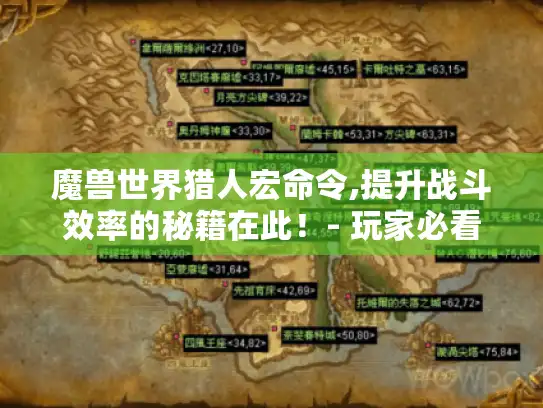 魔兽世界猎人宏命令,提升战斗效率的秘籍在此！- 玩家必看