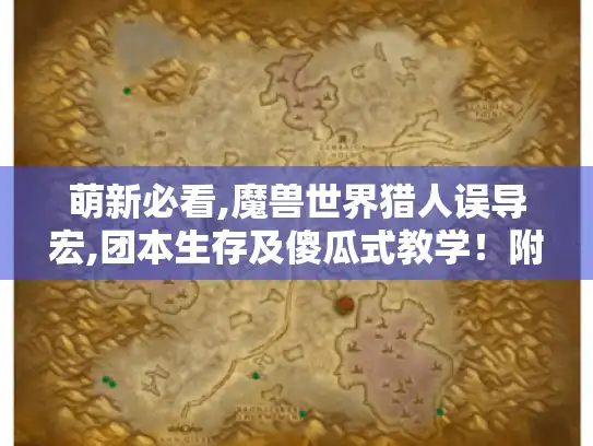 萌新必看,魔兽世界猎人误导宏,团本生存及傻瓜式教学！附代码