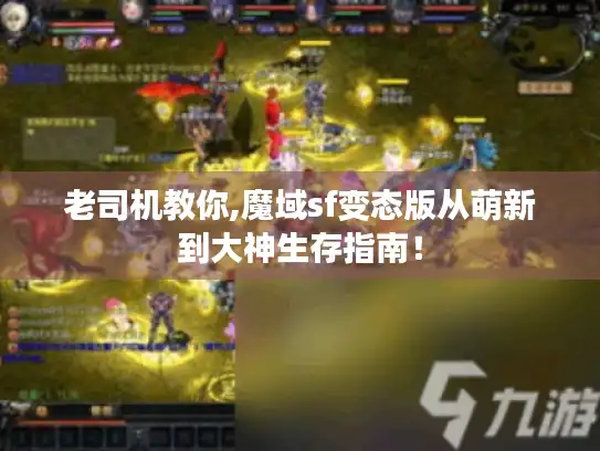 老司机教你,魔域sf变态版从萌新到大神生存指南！