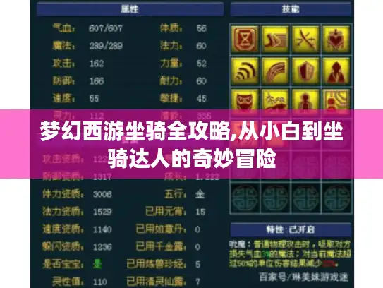 梦幻西游坐骑全攻略,从小白到坐骑达人的奇妙冒险