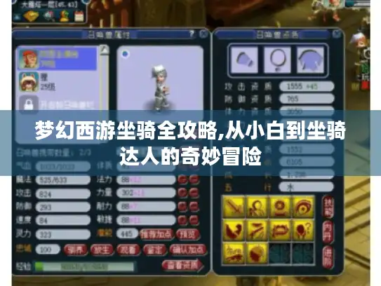 梦幻西游坐骑全攻略,从小白到坐骑达人的奇妙冒险