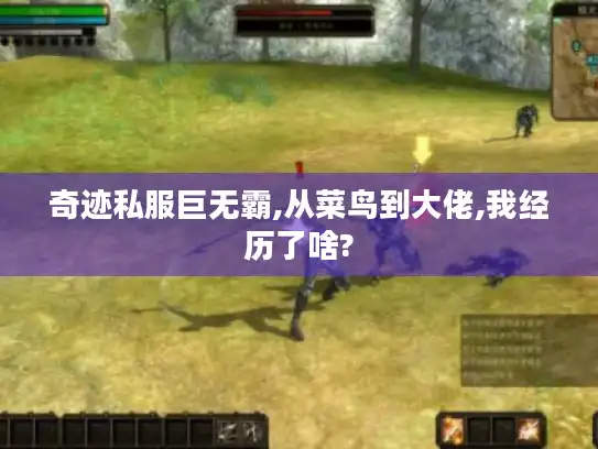 奇迹私服巨无霸,从菜鸟到大佬,我经历了啥?