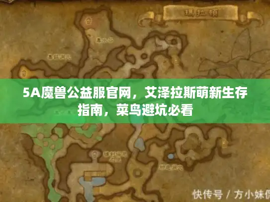 5A魔兽公益服官网，艾泽拉斯萌新生存指南，菜鸟避坑必看