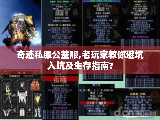 奇迹私服公益服,老玩家教你避坑入坑及生存指南?