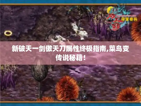 新破天一剑傲天刀属性终极指南,菜鸟变传说秘籍！