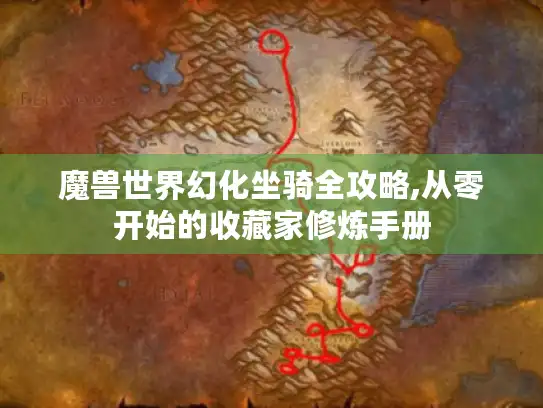 魔兽世界幻化坐骑全攻略,从零开始的收藏家修炼手册