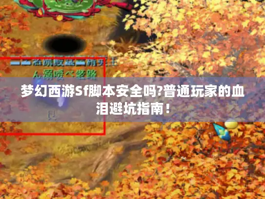 梦幻西游Sf脚本安全吗?普通玩家的血泪避坑指南！