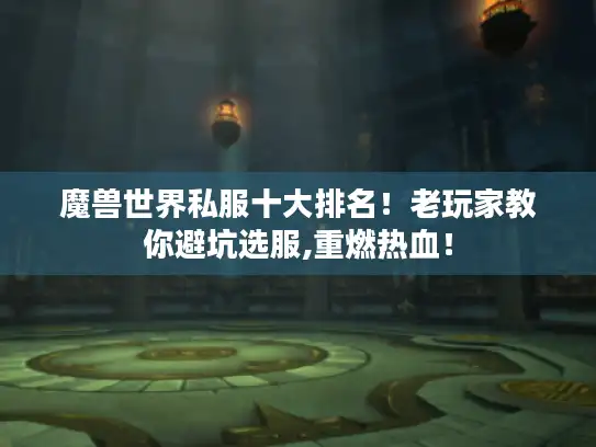 魔兽世界私服十大排名!老玩家教你避坑选服,重燃热血! 魔兽世界私服十大排名!老玩家教你避坑选服,重燃热血!