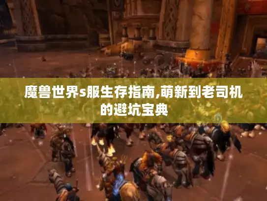 魔兽世界s服生存指南,萌新到老司机的避坑宝典