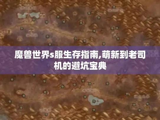 魔兽世界s服生存指南,萌新到老司机的避坑宝典