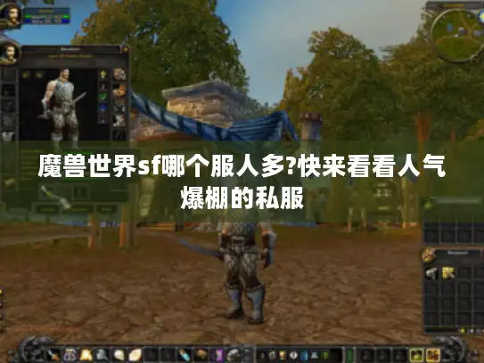 魔兽世界sf哪个服人多?快来看看人气爆棚的私服