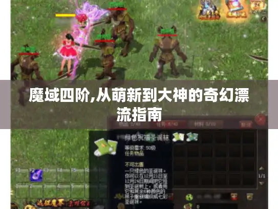 魔域四阶,从萌新到大神的奇幻漂流指南