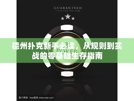 德州扑克新手必读，从规则到实战的零基础生存指南