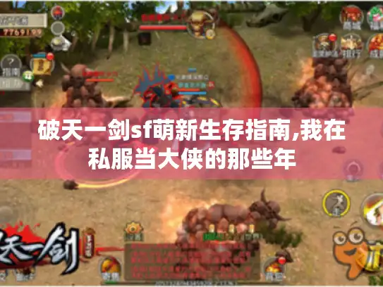 破天一剑sf萌新生存指南,我在私服当大侠的那些年 破天一剑sf萌新生存指南,我在私服当大侠的那些年