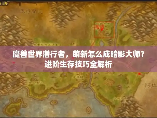 魔兽世界潜行者，萌新怎么成暗影大师？进阶生存技巧全解析