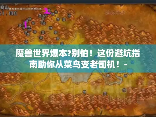 魔兽世界爆本?别怕!这份避坑指南助你从菜鸟变老司机!- 魔兽世界爆本?别怕!这份避坑指南助你从菜鸟变老司机!-